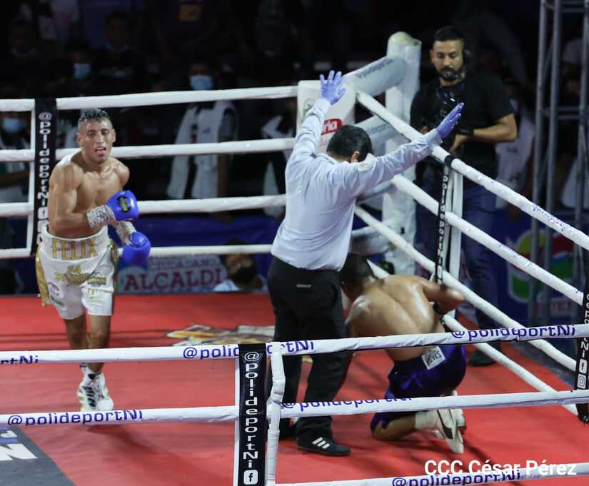 boxeo